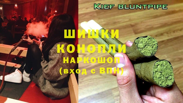 молекула духа Карпинск