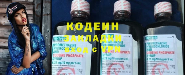 молекула духа Карпинск