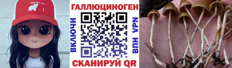 Галлюциногенные грибы ЛСД  Рославль 
