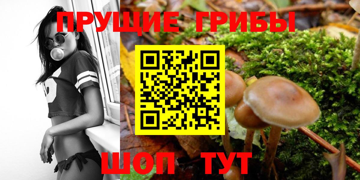 хочу наркоту  Галлюциногенные грибы ЛСД  Вход с VPN  Рославль 