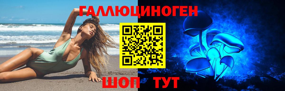 Галлюциногенные грибы Cubensis Рославль